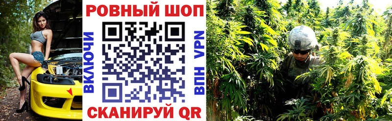 Где найти наркотики Шенкурск ГАШ МАРИХУАНА Кокаин Меф мяу мяу