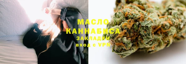 шишки Абаза