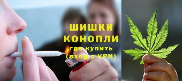 шишки Абаза