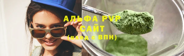 шишки Абаза