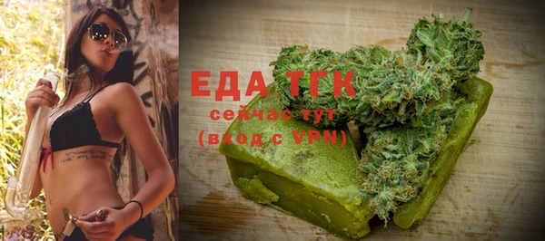 шишки Абаза