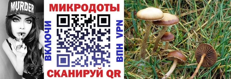 Псилоцибиновые грибы мухоморы  ссылка на мегу зеркало  Шенкурск 